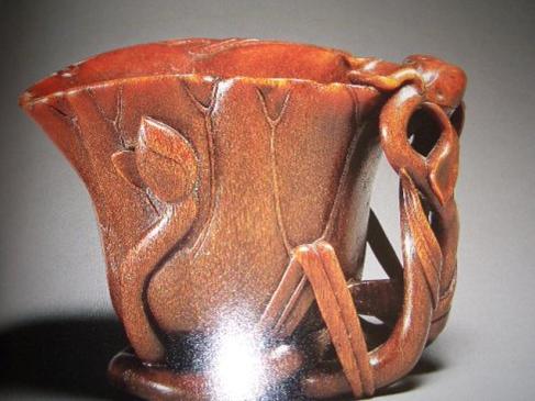 犀角简介,犀角讲解