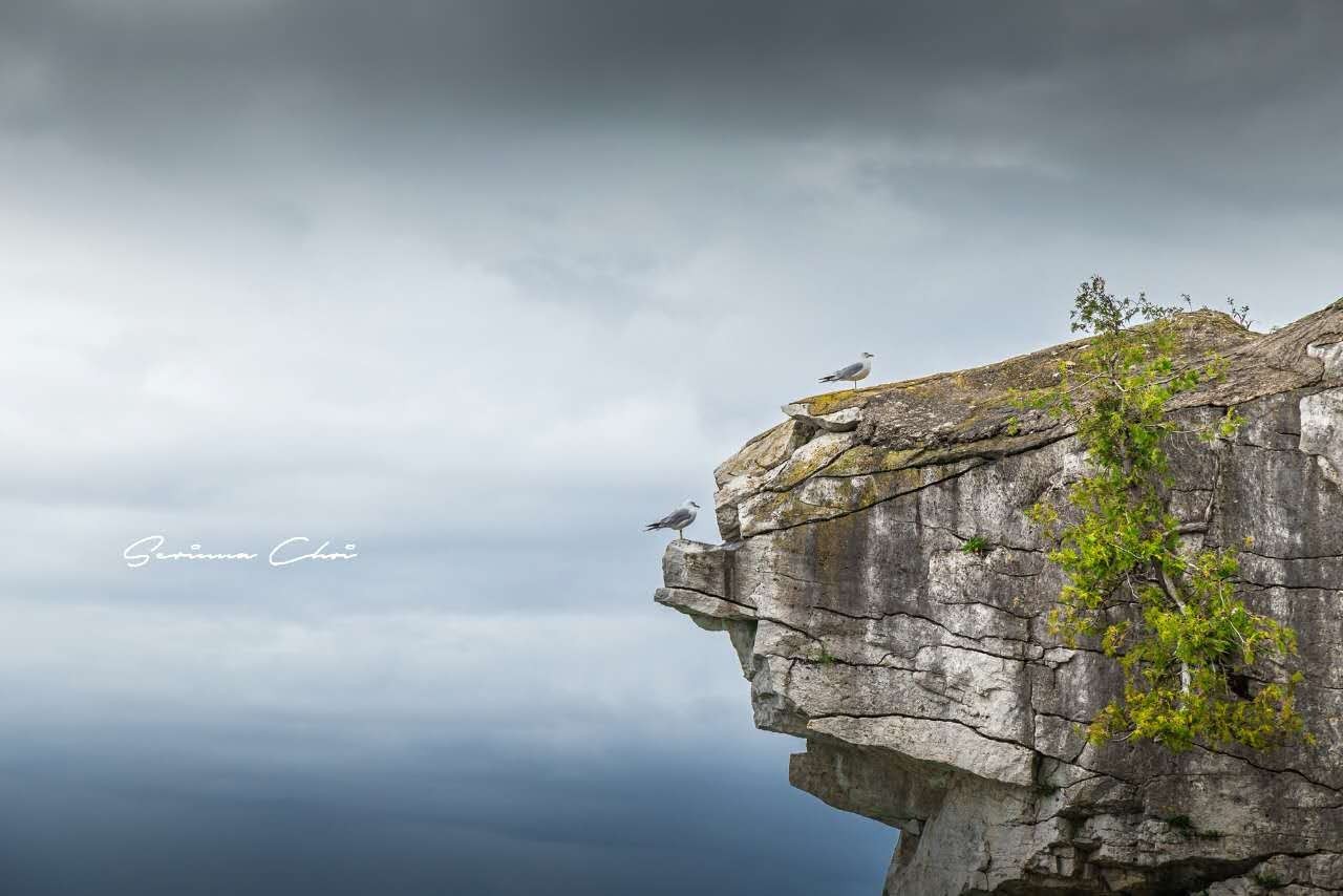 琛屾憚鍗冨北涓囨按鏁欑▼,琛屾憚鏀荤暐