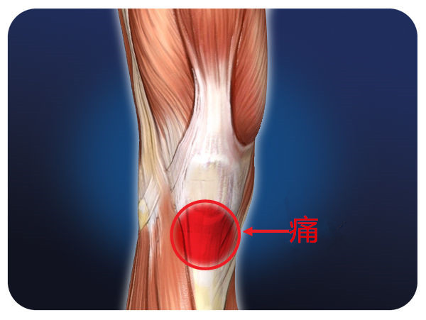 长期运动如何保护膝盖,修复膝盖关节最好的运动