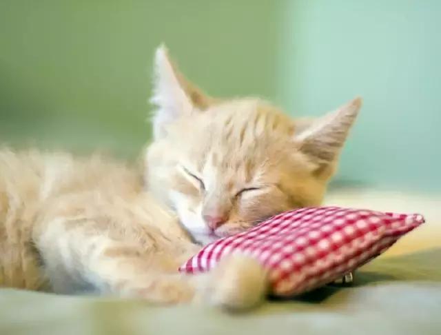 社会各界头条新闻,社会新闻热点事件最新人民日报