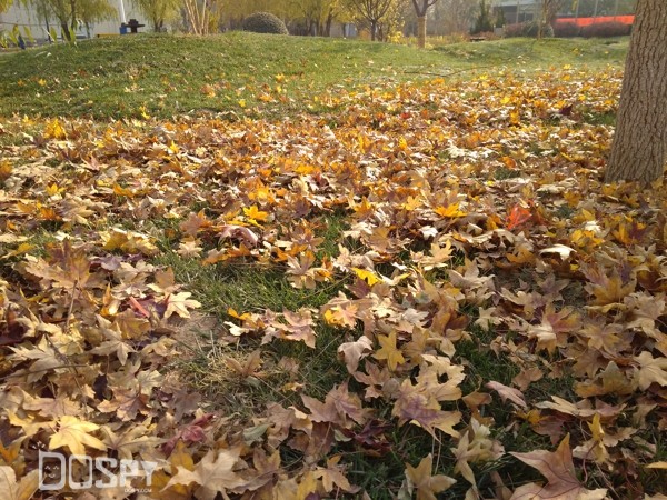 红米4a手机499元,红米4a全球销量排名