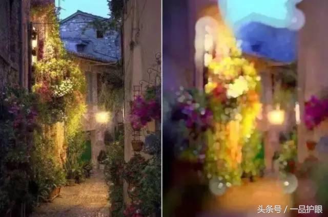 大自然是最好的护眼方式,大自然的光线可使眼底释放多巴胺