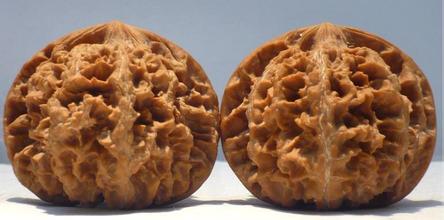 玩核桃要玩全品吗,玩核桃经验分享