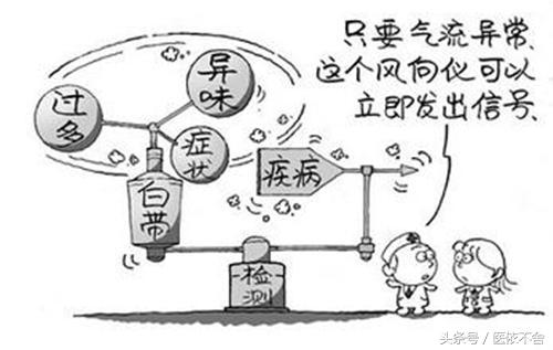 女性白带的最佳食疗方法,白带是黄色的如何食疗