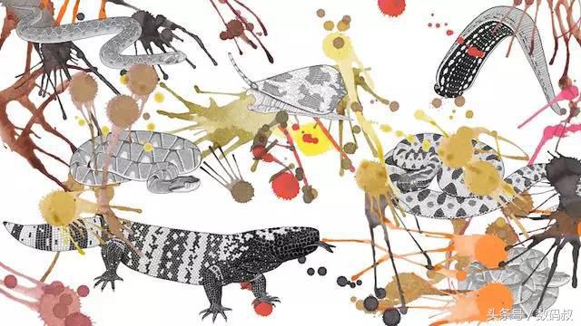 我等死等到一半时,一群蜜蜂蛰了我,救了我一命