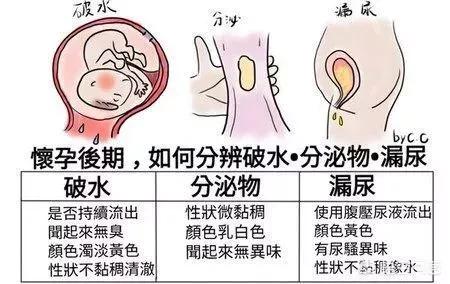 怀孕漏尿和羊水的区别,孕妇漏尿跟破水有什么区别