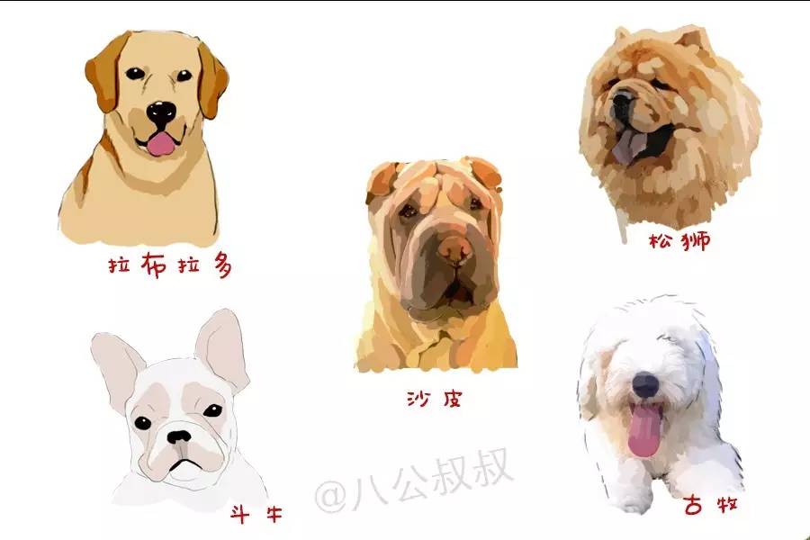 大狗为什么喜欢流口水,狗狗为什么流那么多口水