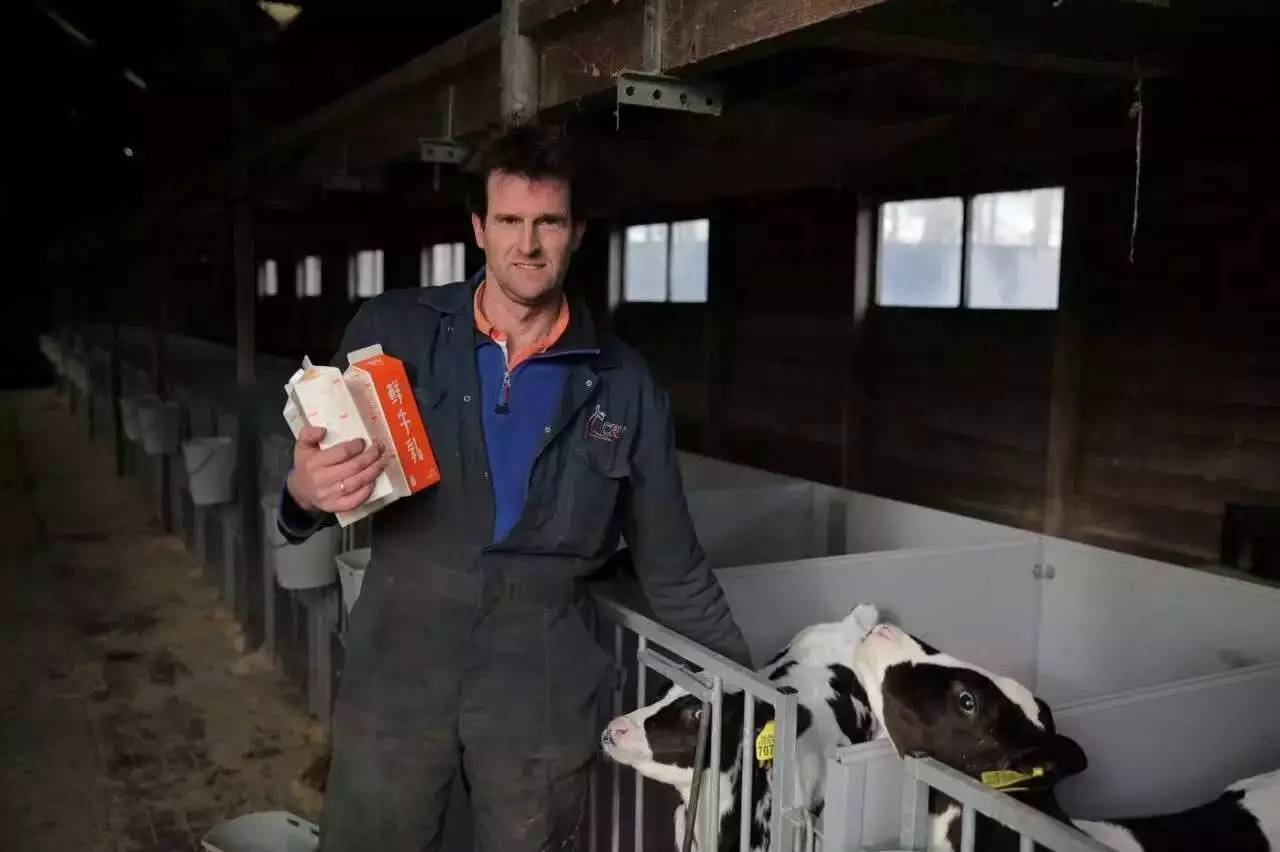 年夜饭适合订餐的餐厅,吃年夜饭有哪些饭店推荐