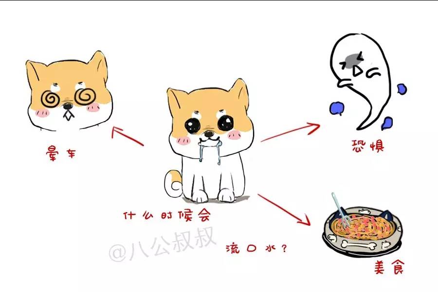 大狗为什么喜欢流口水,狗狗为什么流那么多口水