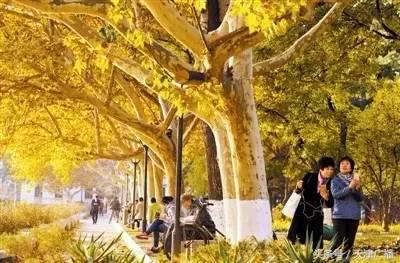 早读天津：市民取6万元现金转存，瞬间“蒸发”1200元！