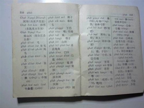 奇闻趣事:贵州人为什么哈说湖北“宜昌方言”!?在线君最新解谜