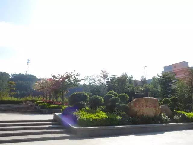 大亚湾变化,大亚湾翻天覆地的变化