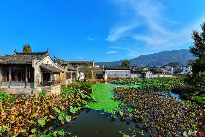 遇见最美的古村落,遇见最美的古村落来了就不想走