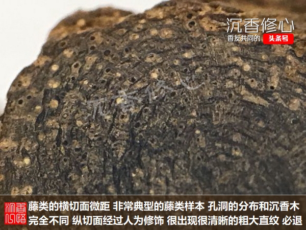 沉香假货为什么不处理,千万别错买假沉香的几个特点