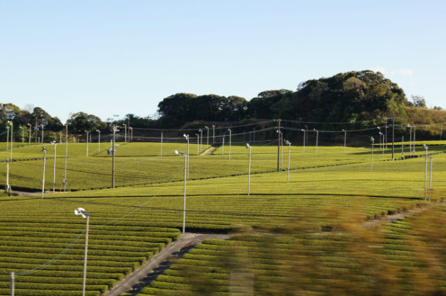 细节教育：细节中的日本，或许你还不知道！