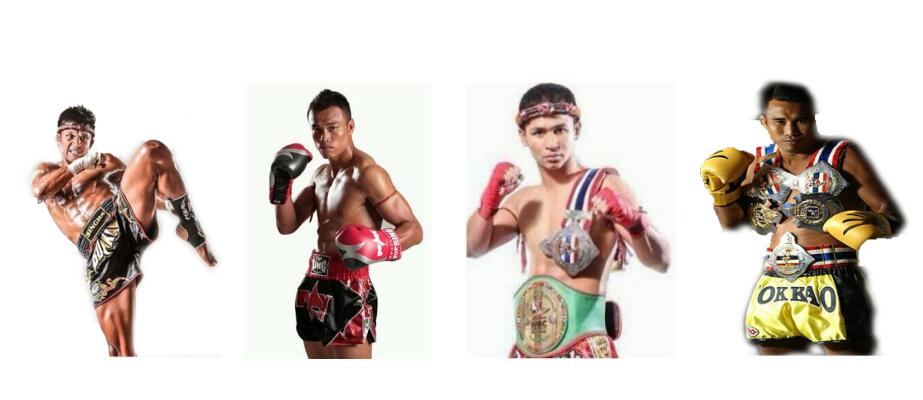 中国搏击趋势,中国搏击的趋势