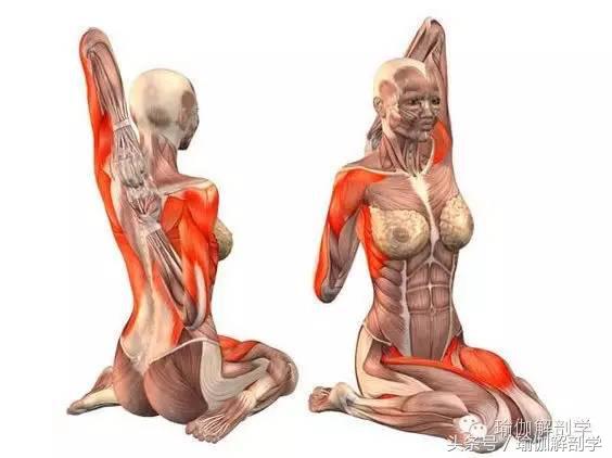 颈椎压迫神经肩背部疼痛,颈肩背部僵硬疼痛是什么原因