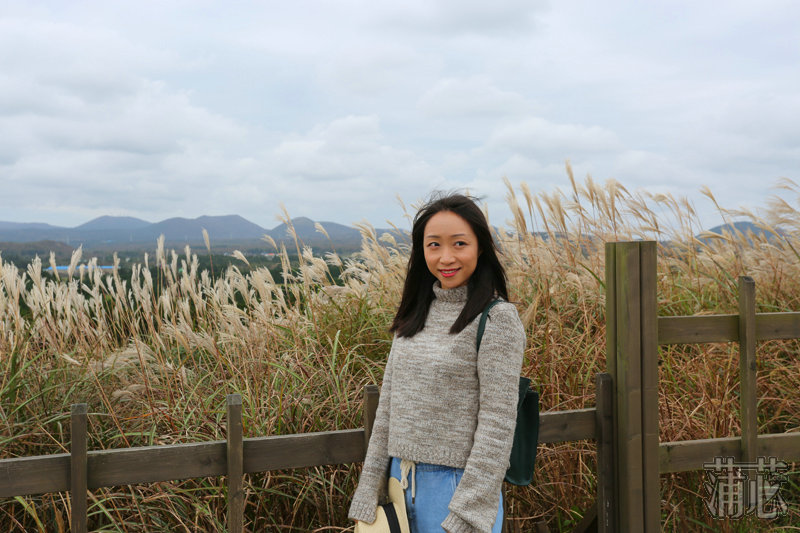 济州岛看枫叶,济州岛枫叶