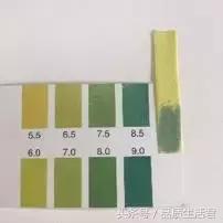 牙膏届的网红款到底怎么样?11款评测给你看