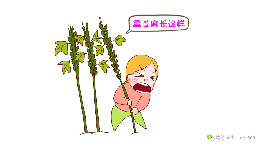 孕妇冬季怕冷适合吃什么,冬天孕妇吃什么东西驱寒