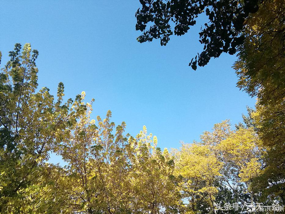 华为平板m3系统升级,华为平板m3电脑模式