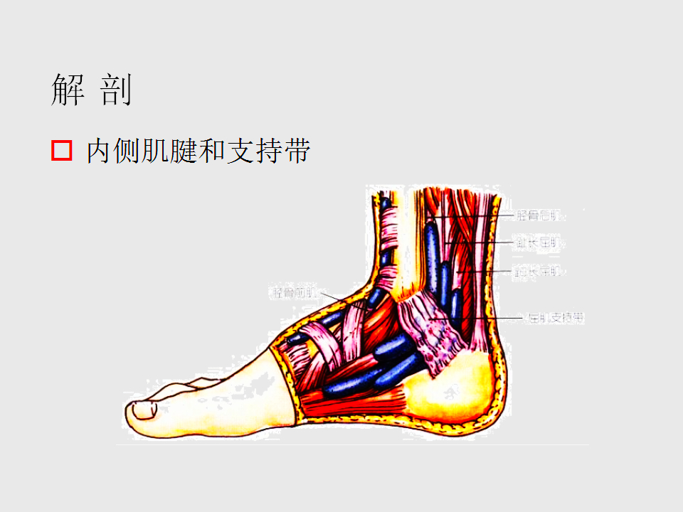 脚崴了怎么办判断是否骨折,脚崴了怎么办视频