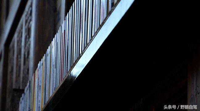 新疆野鹅自驾游视频,野鹅圣诞节自驾游