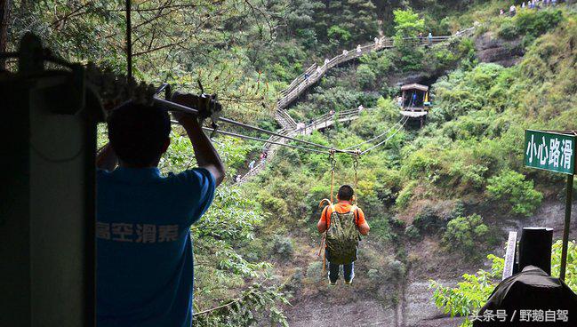新疆野鹅自驾游视频,野鹅圣诞节自驾游