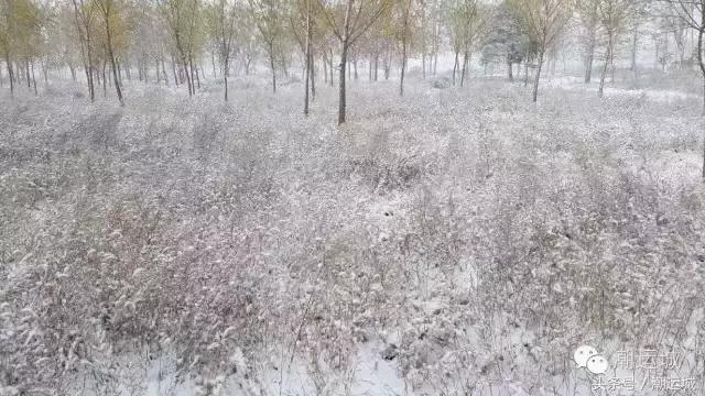 运城雪景有多美,山西省运城市第一场雪