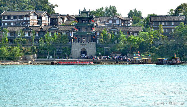 新疆野鹅自驾游视频,野鹅圣诞节自驾游