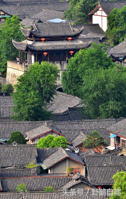 新疆野鹅自驾游视频,野鹅圣诞节自驾游