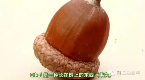 这里有一些荷兰脏话，满足你对脏话的所有需求