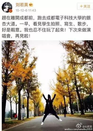 全国十大最美银杏大学,全国最美银杏大学