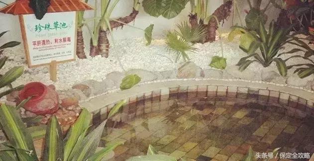 保定温泉水世界推荐,河北保定泡温泉去哪里最好