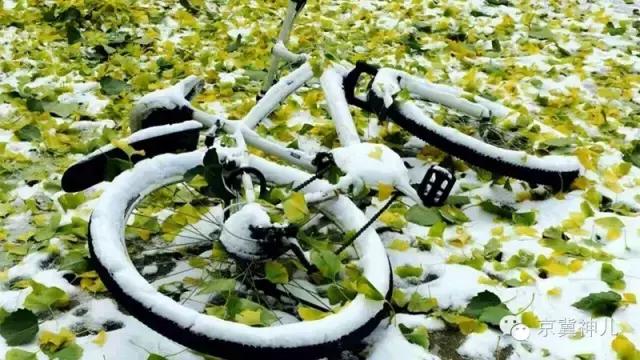 北京的初雪是真的吗,北京的初雪来得比往年都早