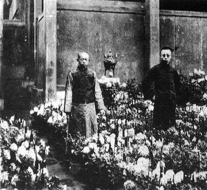 溥仪当老师的亲身经历,溥仪讲太监的真实生活