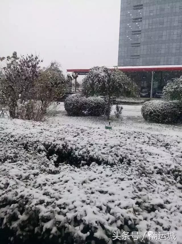 运城雪景有多美,山西省运城市第一场雪