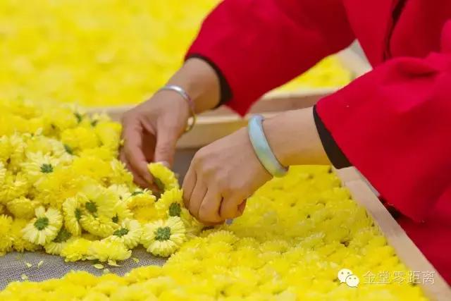 航拍金堂玉皇山,玉皇山登高金堂