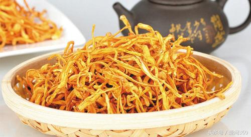 金虫草与冬虫夏草有什么区别,金虫草是植物吗