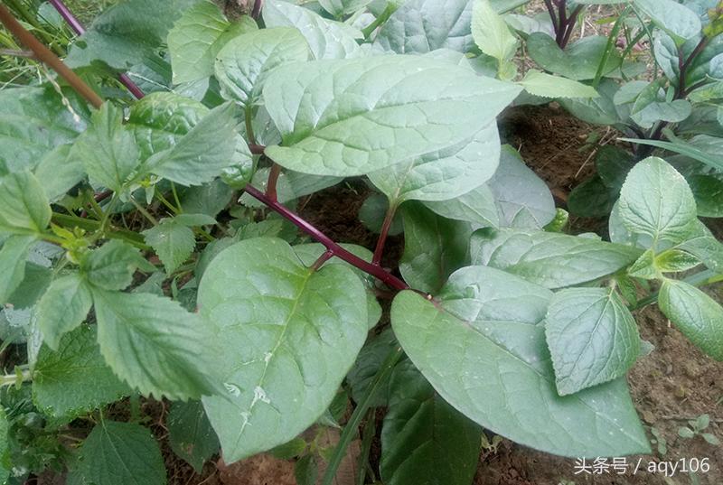 魅蓝青年良品店,魅蓝note3全部功能介绍