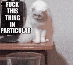 20来岁迷茫的你必看的三部电影,二十岁人生不能错过的十部电影