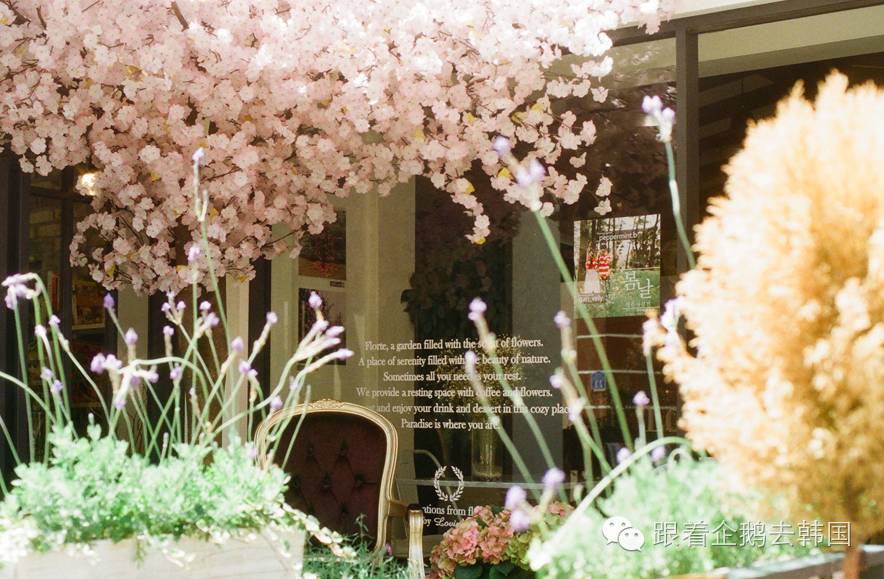 少女心大爆炸！首尔弘大这家Café好看得一塌糊涂