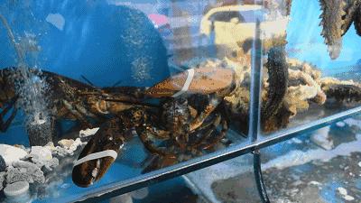 不得了！曾经征服过普京大大的美食，轰动了整条香港路！