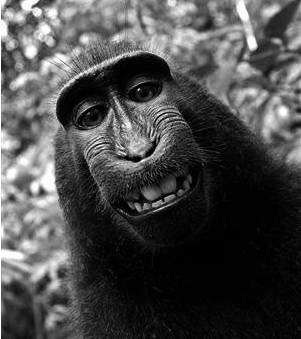 一加3t详细介绍,一加3t最新功能