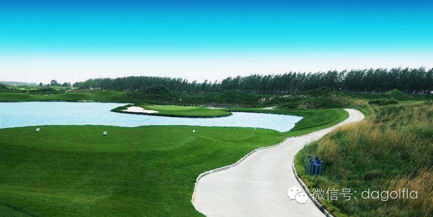 高尔夫优惠团购99元直播,国际高尔夫订场