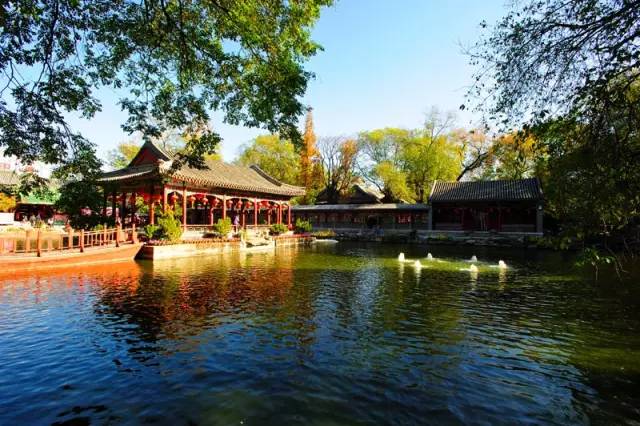 11月机票白菜价错峰出游正当时,重庆4月特价机票