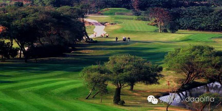 团购高尔夫练习场,高尔夫球优惠活动