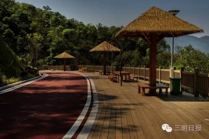 三明绿道公交车什么时候开通,三明公交最新路线图