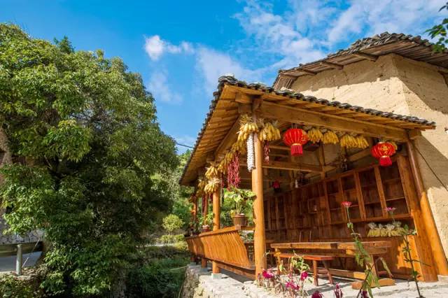 时已立冬,浙些美景再错过就要等明年了!