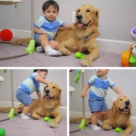 又软又舒服的可爱抱枕,让你幸福感爆棚的可爱抱枕